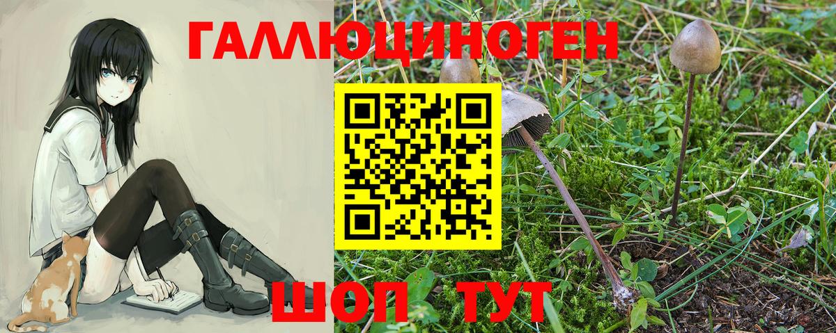 Тавда  Псилоцибиновые грибы мухоморы  Вход с VPN 