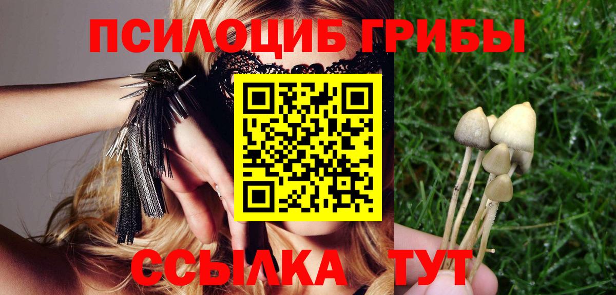 Псилоцибиновые грибы ЛСД Тавда